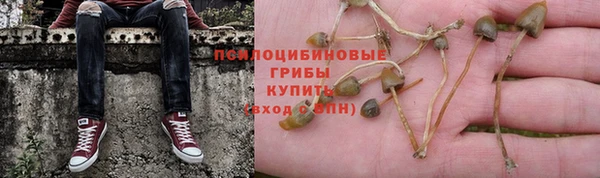 первитин Алексеевка